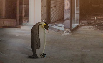 The iceberg is melting and the penguins are in danger 